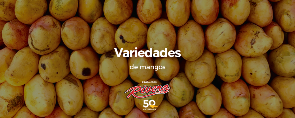 Variedades de mangos: enamórate más de ellos
