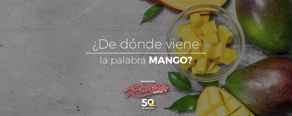 ¿De dónde viene la palabra mango?